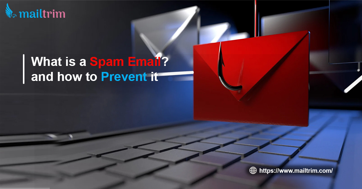 What is a spam email? and how to prevent it